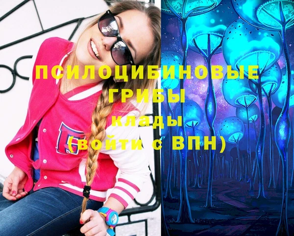 PSILOCYBIN Алексеевка