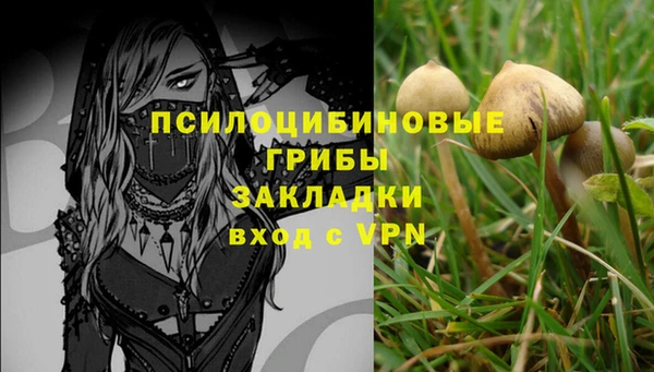 а пвп мука Алзамай