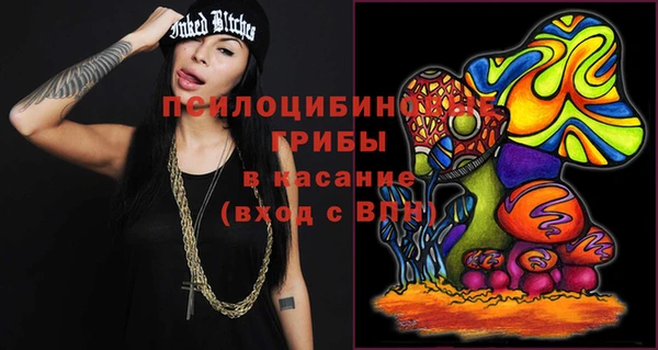 а пвп мука Алзамай