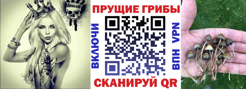 Псилоцибиновые грибы мухоморы  продажа наркотиков  Красноуральск 